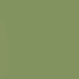SUPER OFERTA **40%** Lápis de aguarela 49 Sap Green da Derwent