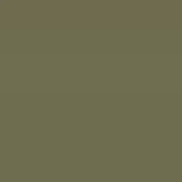 SUPER OFERTA **40%** Lápis de aguarela 50 Cedar Green da Derwent
