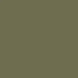 SUPER OFERTA **40%** Lápis de aguarela 53 Sepia da Derwent