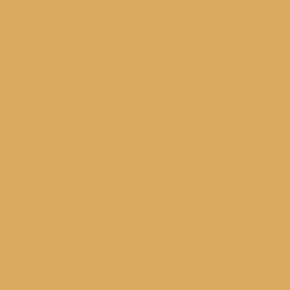 SUPER OFERTA **40%** Lápis de aguarela 59 Golden Brown da Derwent
