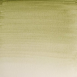 Aquarelle moyenne godet 638 Vert terre teinte jaune S1 Professional Winsor and Newton