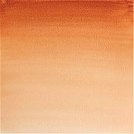 Aquarelle moyenne godet 074 Sienna earth tan S1 Professional Winsor and Newton