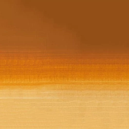 Aquarelle médium godet 285 Ocre Gold S2 Professional Winsor and Newton