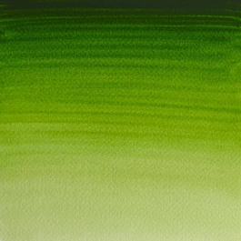 Aquarelle moyenne godet 503 Permanent Bladder Green S1 Professional Winsor and Newton
