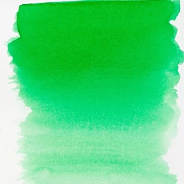 Ecoline Talens Liquid Watercolour with Dropper 656 Forest Green
