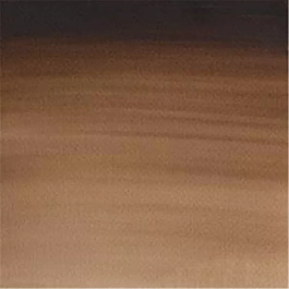 Aquarelle moyenne godet 676 Brown Van Dyck S1 Professional Winsor and Newton