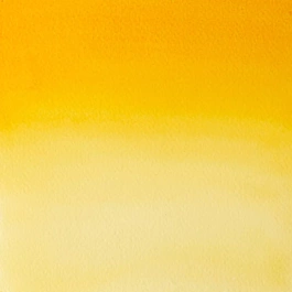 Aquarelle moyenne godet 319 Indian Yellow S1 Professional Winsor and Newton