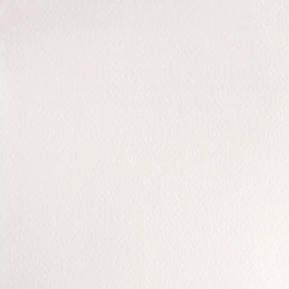 Aquarelle moyenne godet 150 Chinese White S1 Professional Winsor and Newton