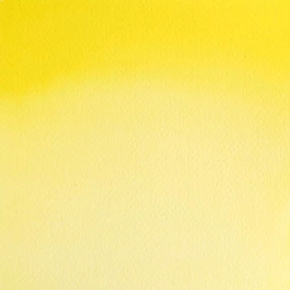 Aquarelle moyenne godet 025 Bismuth Yellow S3 Professional Winsor and Newton
