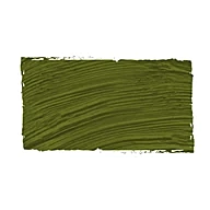 Oil colour 89 Cinnabar Green Toasted Goya 60ml