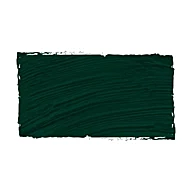Oil 97 Green Earth Goya 60ml