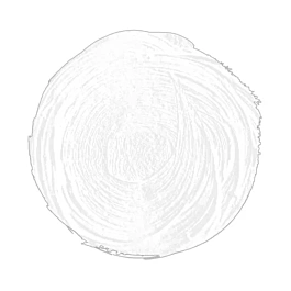 Acrylic Extrafine White Titan nº4 S1 Titan 20ml