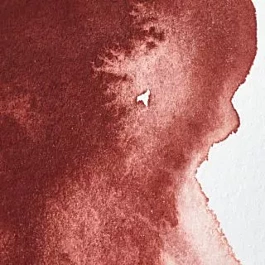 Watercolour Professional 317 Indian Red S1 Winsor &amp; Newton 5ml