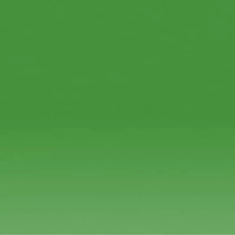 Crayon Inktense 1560 « Fern » de Derwent