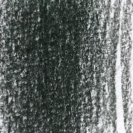 Lyra 6B graphite pencil Art Design Rembrandt 