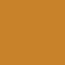 Derwent Lightfast Pencil Dark Honey  