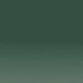 Derwent Lightfast Pencil Racing Green  