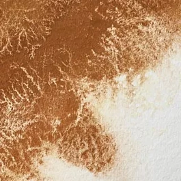 Watercolour Professional 381 Magnesium Brown S1 Winsor &amp; Newton 5ml