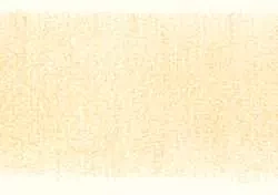 Derwent Coloursoft Buntstift 560 Peach  