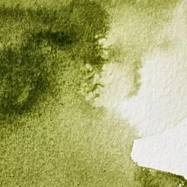 Watercolour Professional 447 Olive Green S1 Winsor &amp; Newton 5ml