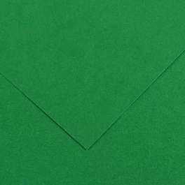Papier kolorowy Iris Vivaldi 030 Zielony świerk 185g/m² A3