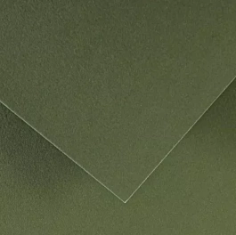 Papier kolorowy Iris Vivaldi 089 Zielony safari 185g/m² A3