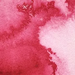 Water colour tube 502 Permanent Rose S3 Professional Winsor and Newton 5ml
