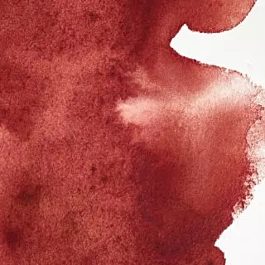 Watercolour Professional 507 Perylene Maroon S3 Winsor &amp; Newton 5ml
