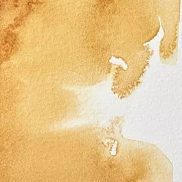 Watercolour Professional 552 Raw Sienna S1 Winsor &amp; Newton 5ml