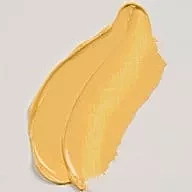 Olio Rembrandt - 223 Giallo Napoli scuro