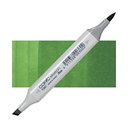 Copic Sketch Marker YG67 Moss