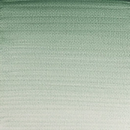 Aquarelle godet 637 Terre verte S1 Professional Winsor and Newton