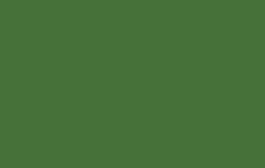 Pintura Multisuperficie Verde Oliva 807 Aqua Arts Titan 100ml