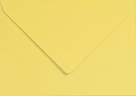 Set 5 enveloppes Pastèque Grain de Pollen 162x229mm Clairefontaine