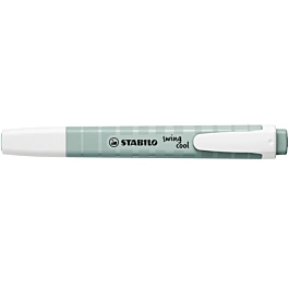 Zakreślacz STABILO EASYcolors Swing Cool zielony ziemia