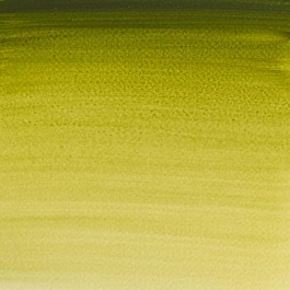Aquarelle médium godet 447 Olive Green S1 Professional Winsor and Newton