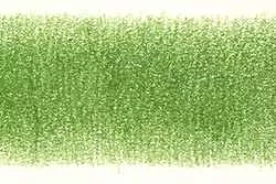 Derwent Coloursoft Buntstift 430 Pea Green 
