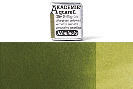 Acquerello godet medio 554 Verde oliva giallastro Akademie Schmincke