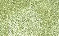 Tubo acuarela 081 Verde Amarillo Iridiscente S.2 Sennelier 10ml