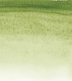 Aquarelltube 213 Grüne Erde S.1 Sennelier 10ml