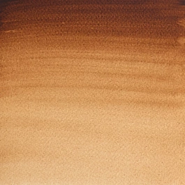 Aquarelle moyenne godet 076 Earth shade tan S1 Professional Winsor and Newton