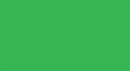 Pigma Micron Fresh Green Sakura Marker Pen