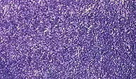 Tubo acuarela 090 Violeta Claro Iridiscente S.2 Sennelier 10ml