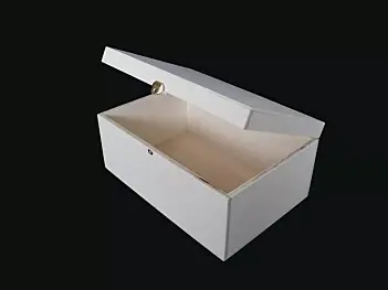 Artiwood Black poplar wooden box