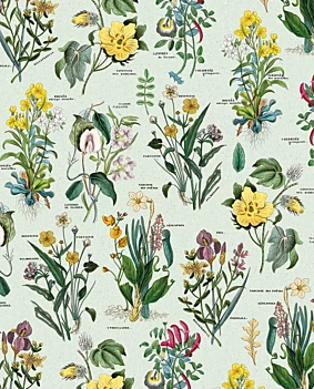 Papier Flora Tassotti