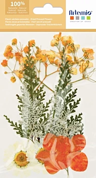 Flores preservadas Lila Artemio