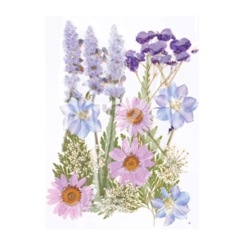 Artemio Pressed flowers Lavender 