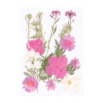 Artemio Pressed Flowers Pink and White 
