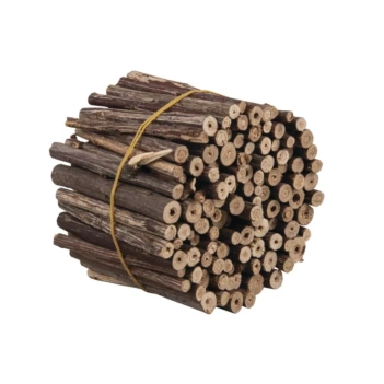 Rayher Natural Branches Set