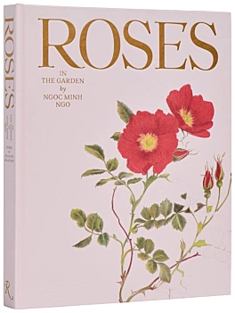 Rose in giardino N Minh Ngo Inglese